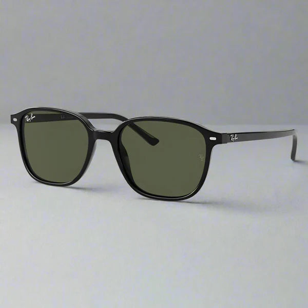 RAY-BAN, Ochelari de soare, LEONARD RB2193 - 901/31