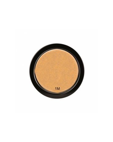 Pudra bronzanta pentru toate tipurile de ten – Paese Bronzer Powder Coconut 9gr